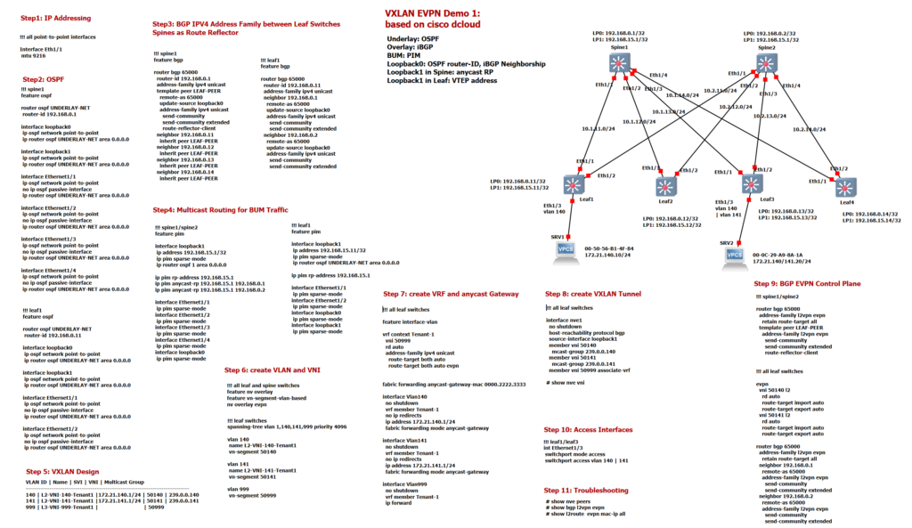 VXLAN EVPN Configuration Example1 at a glance