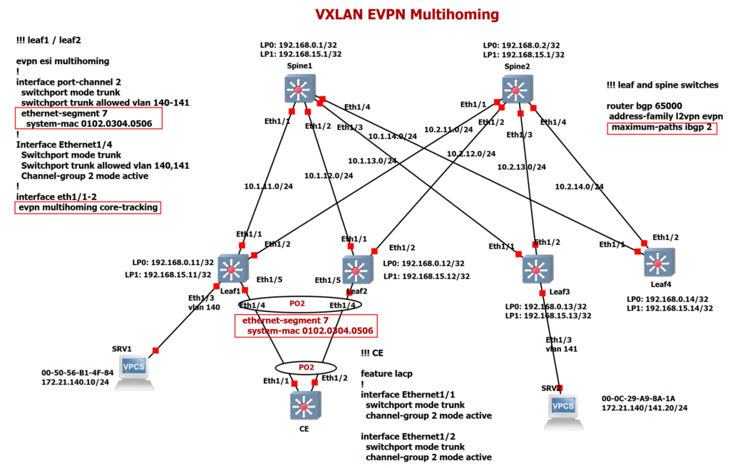 VXLAN EVPN Multihoming