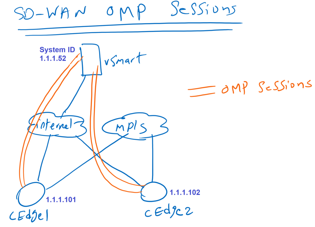 SD-WAN OMP Sessions