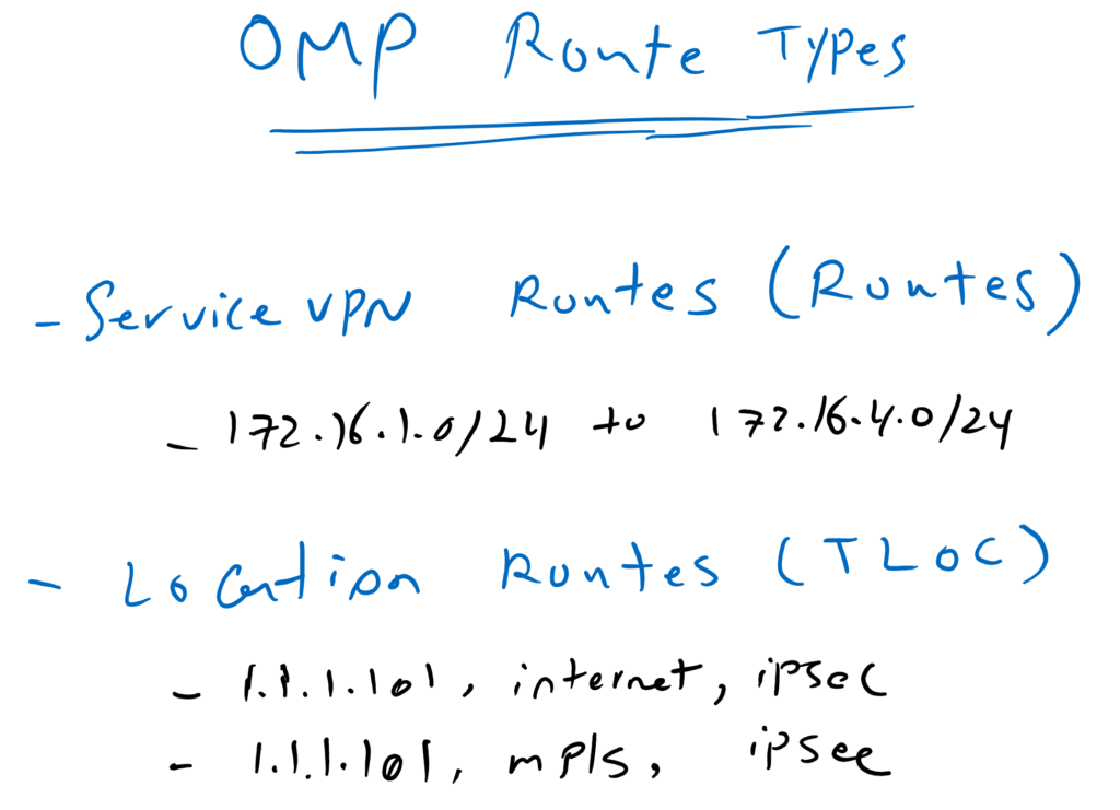 SD-WAN OMP ROUTE TYPES