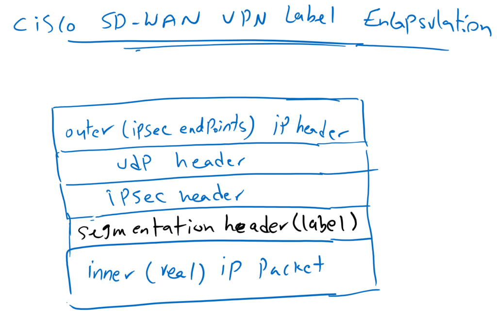Cisco SD-WAN VPN Label encapsulation