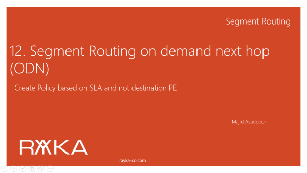 12. segment routing on demand next hop