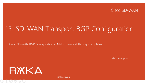 15. SD-WAN Transport BGP Configuration