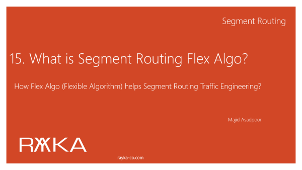 15. what is segment routing flex algo