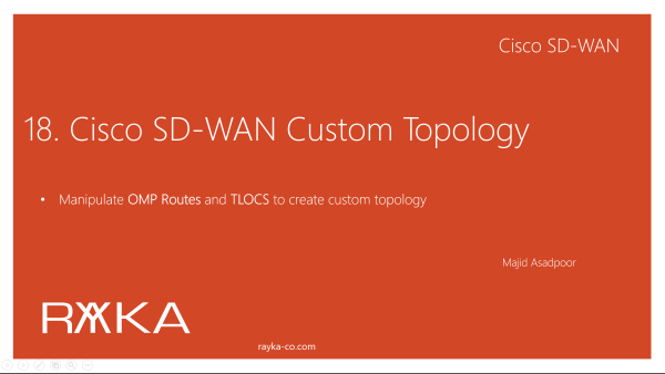 18. Cisco SD-WAN Custom Topology_h