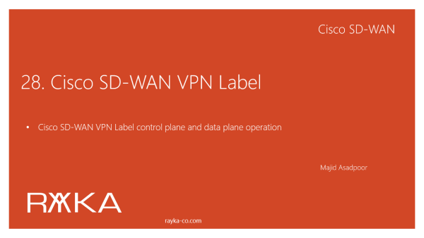 28. Cisco SD-WAN VPN Label