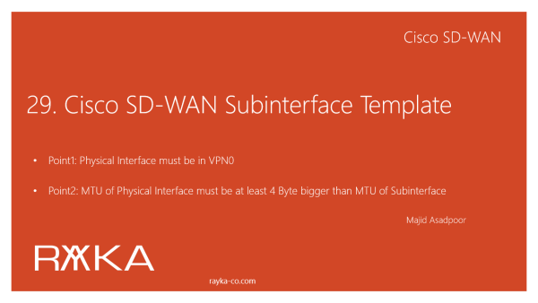 29. Cisco SD-WAN Subinterface Template