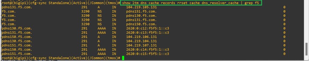 check F5 DNS resolver cache