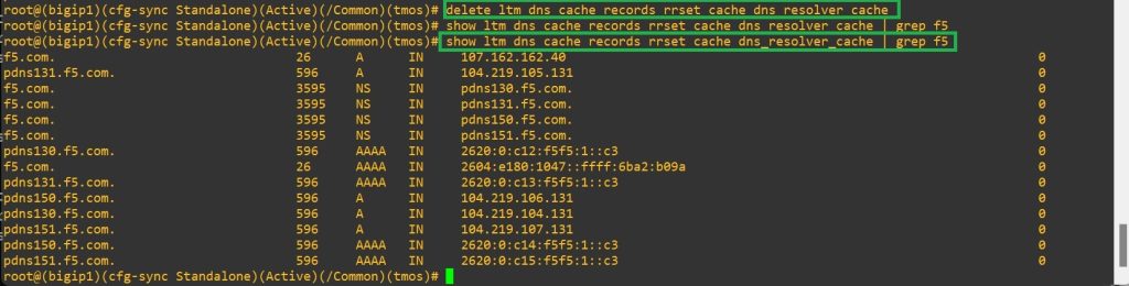 delete F5 DNS resolver cache