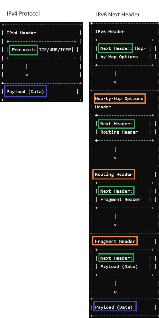 IPv4 Protocol versus IPv6 Next Header