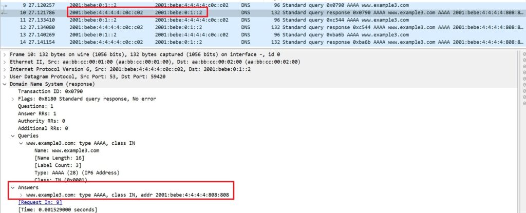 DNS Answer in IPv6 network in NAT-PT DNS ALG process