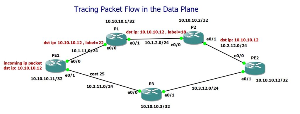 Tracing Packet Flow in the Data Plane